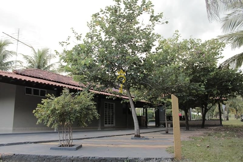 Rancho à Venda na Beira do Rio | 3.898 m², Piscina de Biribol, Mini Campo e Acesso Privativo ao Rio – Aracanguá/SP: 4ª foto da galeria de imagens do imóvel