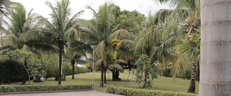 Rancho à Venda na Beira do Rio | 3.898 m², Piscina de Biribol, Mini Campo e Acesso Privativo ao Rio – Aracanguá/SP: 7ª foto da galeria de imagens do imóvel