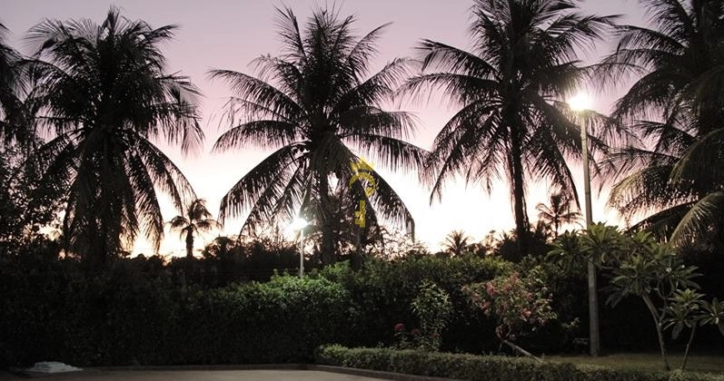Rancho à Venda na Beira do Rio | 3.898 m², Piscina de Biribol, Mini Campo e Acesso Privativo ao Rio – Aracanguá/SP: 2ª foto da galeria de imagens do imóvel