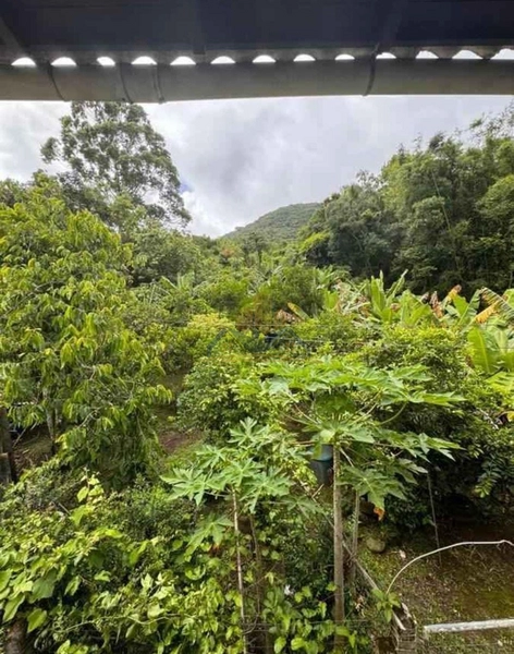 null: 4ª foto da galeria de imagens do imóvel