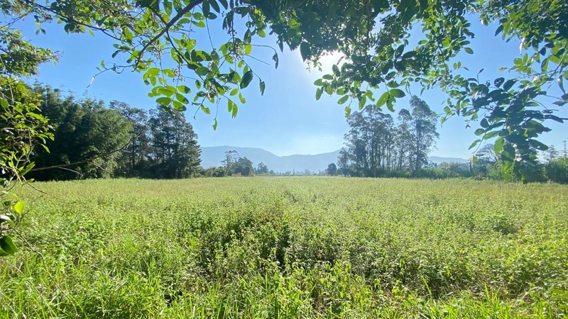ÁREA RURAL NA SANGA FUNDA: 2ª foto da galeria de imagens do imóvel