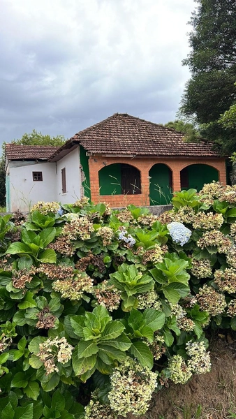 TERRENO NO CENTRO DE TERRA DE AREIA: 1ª foto da galeria de imagens do imóvel