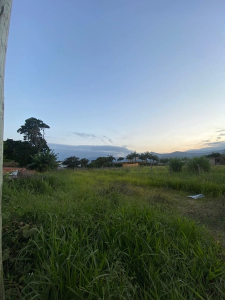 TERRENO À VENDA EM TERRA DE AREIA: 2ª foto da galeria de imagens do imóvel