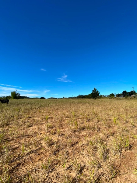 ÁREA DE TERRAS Á VENDA NA RS-486 (ROTA DO SOL): 4ª foto da galeria de imagens do imóvel