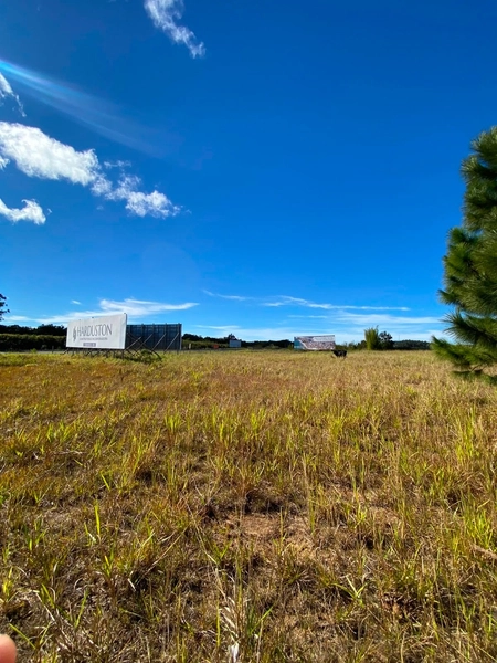 ÁREA DE TERRAS Á VENDA NA RS-486 (ROTA DO SOL): 2ª foto da galeria de imagens do imóvel