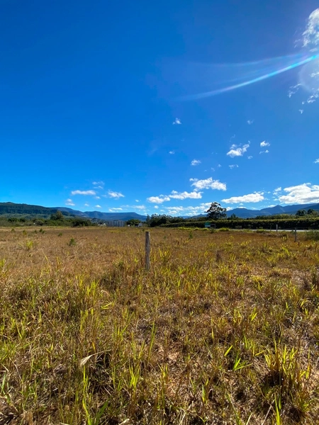 ÁREA DE TERRAS Á VENDA NA RS-486 (ROTA DO SOL): 5ª foto da galeria de imagens do imóvel