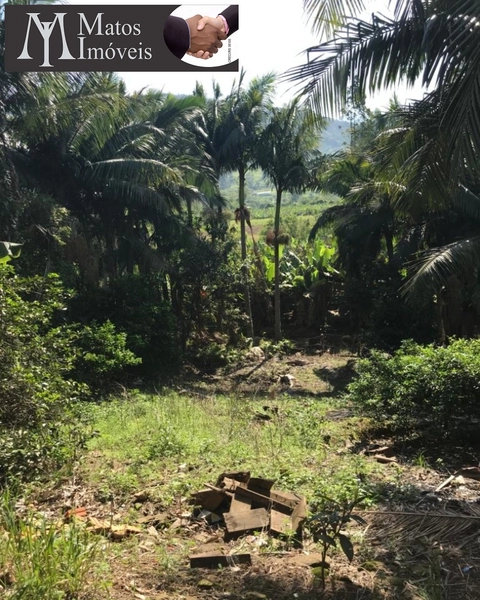CASA EM TRÊS FORQUILHAS: 13ª foto da galeria de imagens do imóvel
