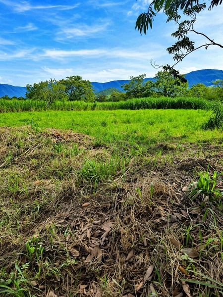 TERRENO À VENDA EM ITATI: 1ª foto da galeria de imagens do imóvel