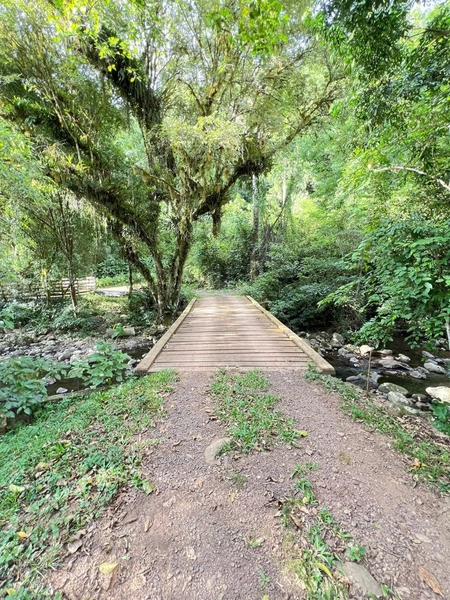 SÍTIO A VENDA EM TRÊS FORQUILHAS: 1ª foto da galeria de imagens do imóvel