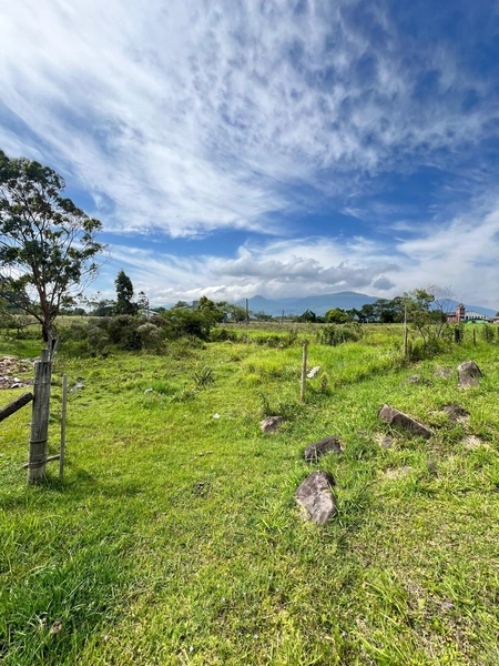 TERRENO EM TERRA DE AREIA: 1ª foto da galeria de imagens do imóvel