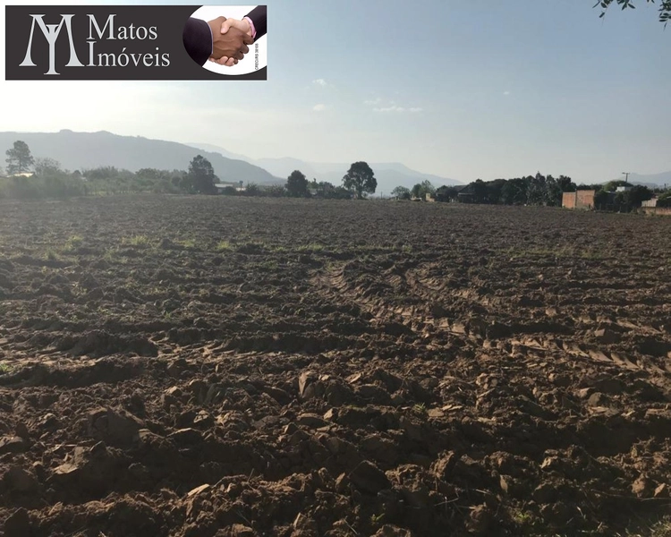 ÁREA EM TERRA DE AREIA: 4ª foto da galeria de imagens do imóvel