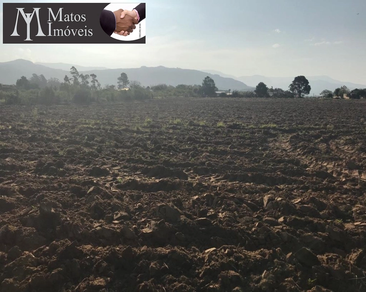 ÁREA EM TERRA DE AREIA: 6ª foto da galeria de imagens do imóvel
