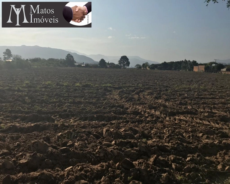 ÁREA EM TERRA DE AREIA: 2ª foto da galeria de imagens do imóvel