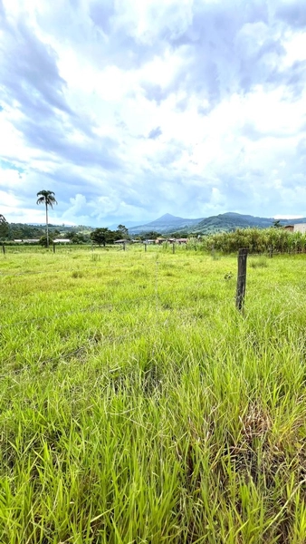 LOTE À VENDA EM TERRA DE AREIA: 3ª foto da galeria de imagens do imóvel