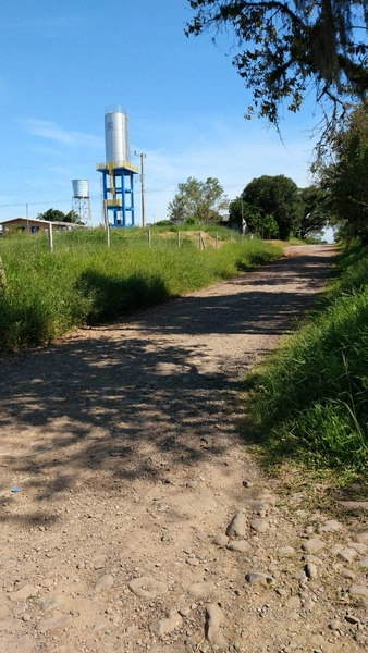 DOIS TERRENOS EM TERRA DE AREIA: 4ª foto da galeria de imagens do imóvel