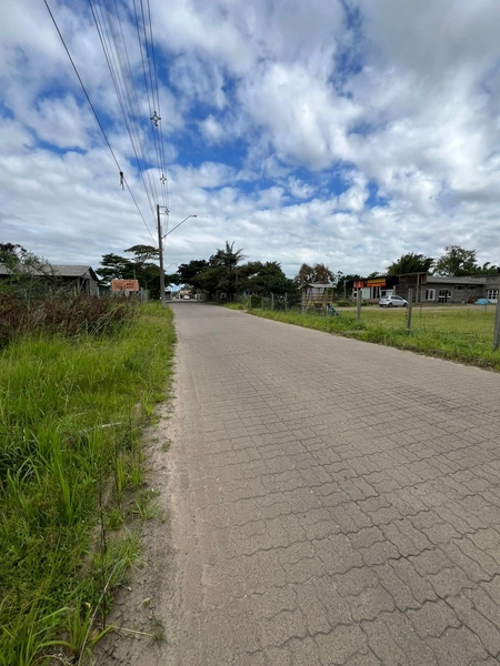 TERRENO CENTRO DE TERRA DE AREIA: 3ª foto da galeria de imagens do imóvel