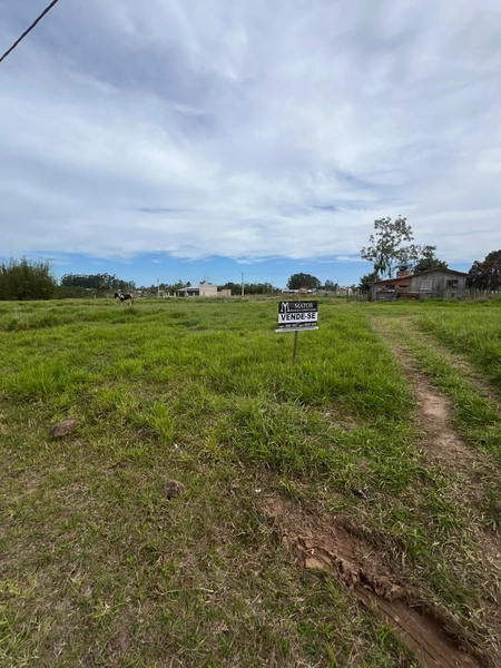 TERRENO EM TERRA DE AREIA: 1ª foto da galeria de imagens do imóvel