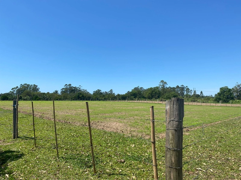 LOTES EM TERRA DE AREIA: 4ª foto da galeria de imagens do imóvel
