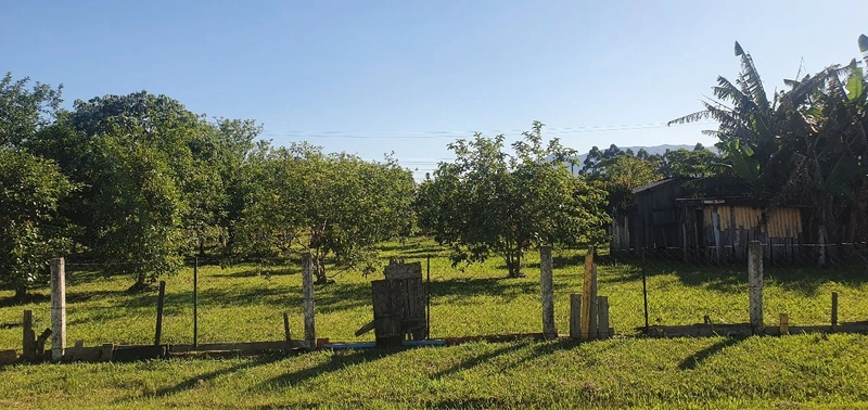 TERRENO EM TERRA DE AREIA: 1ª foto da galeria de imagens do imóvel