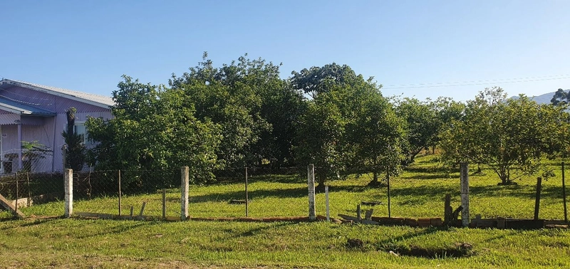 TERRENO EM TERRA DE AREIA: 6ª foto da galeria de imagens do imóvel