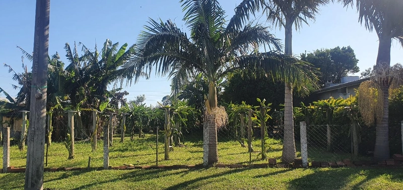 TERRENO EM TERRA DE AREIA: 5ª foto da galeria de imagens do imóvel