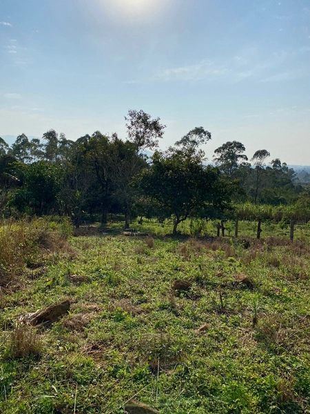 TERRENO EM TERRA DE AREIA: 1ª foto da galeria de imagens do imóvel