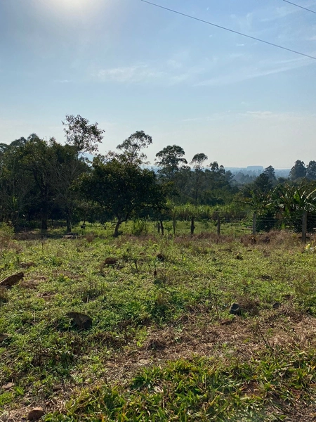 TERRENO EM TERRA DE AREIA: 4ª foto da galeria de imagens do imóvel