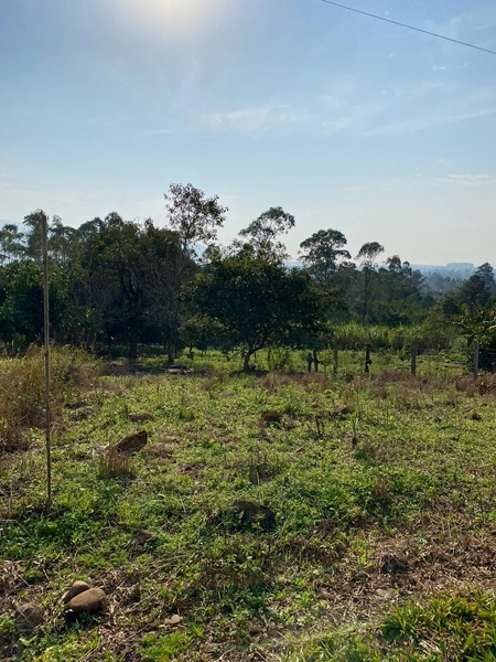 TERRENO EM TERRA DE AREIA: 5ª foto da galeria de imagens do imóvel
