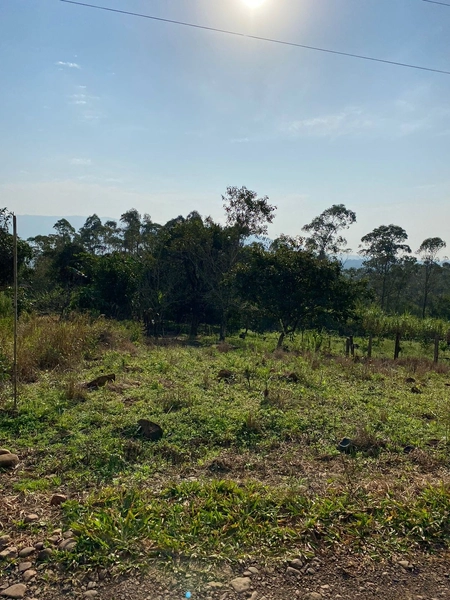 TERRENO EM TERRA DE AREIA: 2ª foto da galeria de imagens do imóvel