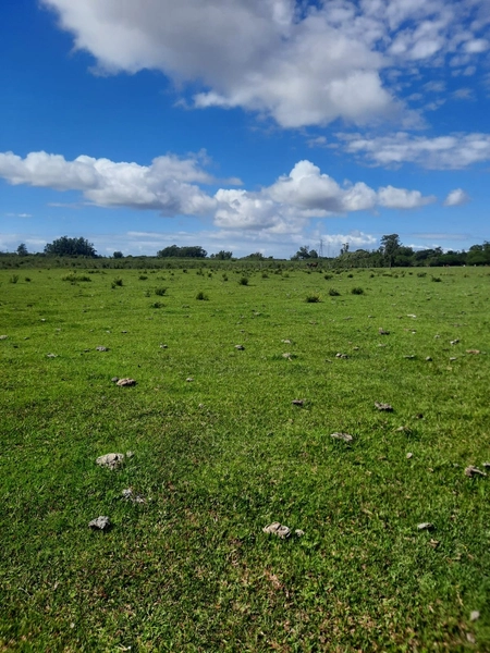 ÁREA À VENDA EM TERRA DE AREIA: 1ª foto da galeria de imagens do imóvel