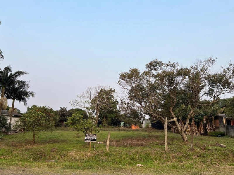 TERRENO EM TERRA DE AREIA: 1ª foto da galeria de imagens do imóvel