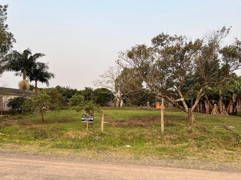TERRENO EM TERRA DE AREIA: 3ª foto da galeria de imagens do imóvel