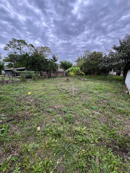TERRENO  NO CENTRO: 6ª foto da galeria de imagens do imóvel