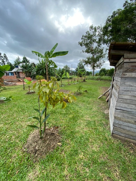 TERRENO À VENDA NO BECO TEOTÔNIO VILELA: 4ª foto da galeria de imagens do imóvel