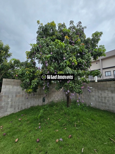 Terreno plano com loja à venda 261 m² Bairro Centro Vinhedo: 11ª foto da galeria de imagens do imóvel
