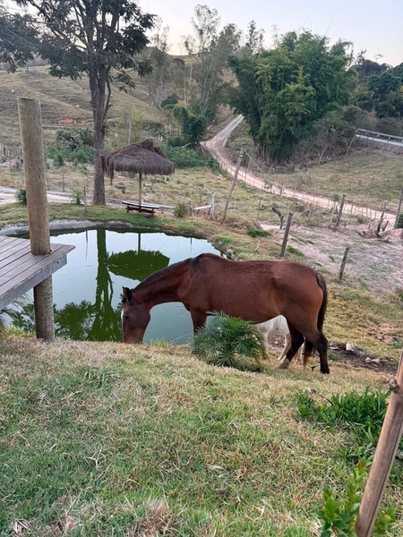 Sítio de 5.000 m² com lagoa em Bonfim: 3ª foto da galeria de imagens do imóvel