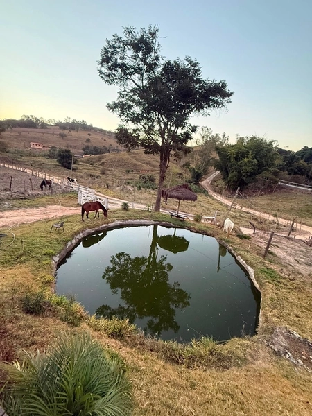 Sítio de 5.000 m² com lagoa em Bonfim: 2ª foto da galeria de imagens do imóvel