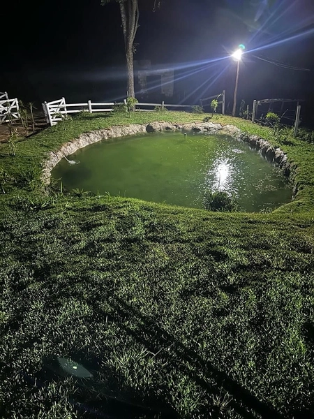 Sítio de 5.000 m² com lagoa em Bonfim: 18ª foto da galeria de imagens do imóvel