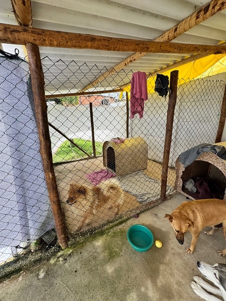 Casa com Piscina à Venda em Mateus Leme – Porteira Fechada: 15ª foto da galeria de imagens do imóvel