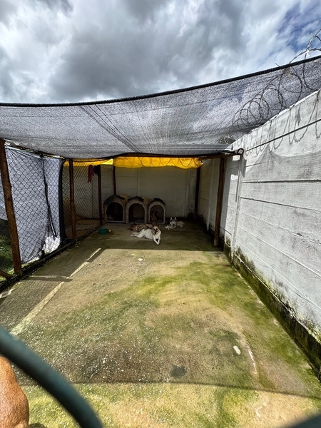 Casa com Piscina à Venda em Mateus Leme – Porteira Fechada: 14ª foto da galeria de imagens do imóvel