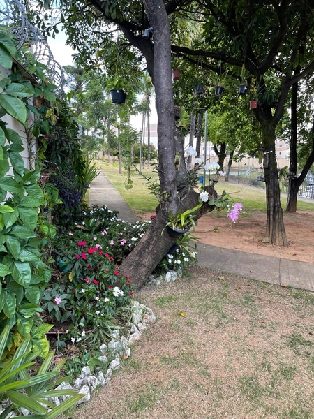 Apê a 1km do Shopping Monte Carmo: 23ª foto da galeria de imagens do imóvel