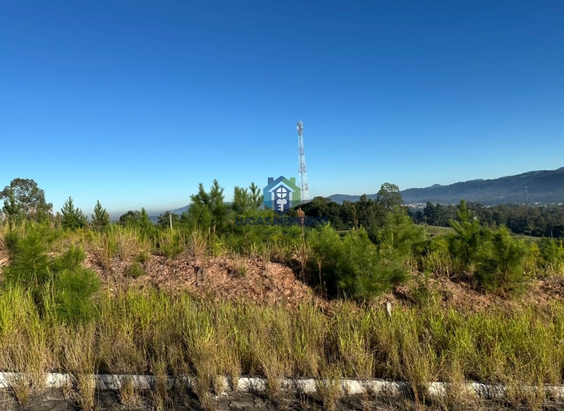 TERRENO ARARICÁ : 1ª foto da galeria de imagens do imóvel