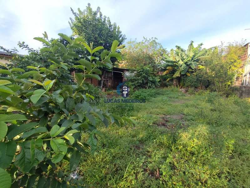 Terrenos à venda em Canudos, Novo Hamburgo: 31ª foto da galeria de imagens do imóvel