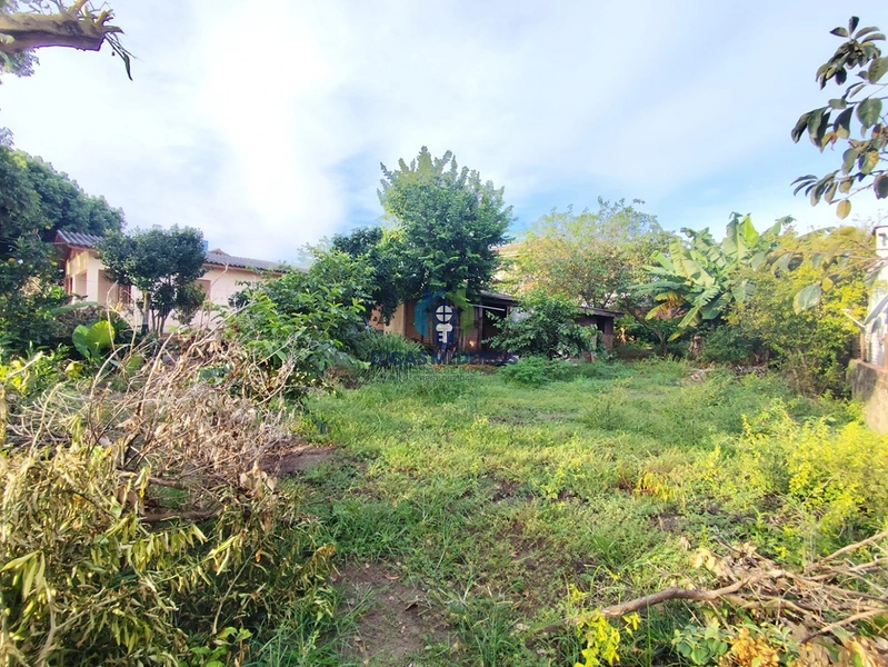 Terrenos à venda em Canudos, Novo Hamburgo: 33ª foto da galeria de imagens do imóvel