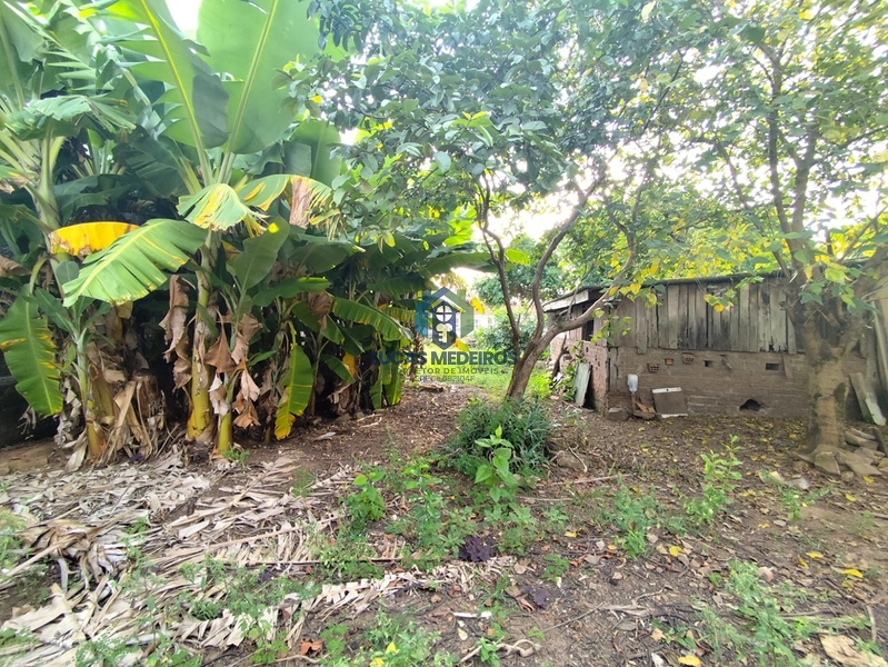 Terrenos à venda em Canudos, Novo Hamburgo: 34ª foto da galeria de imagens do imóvel