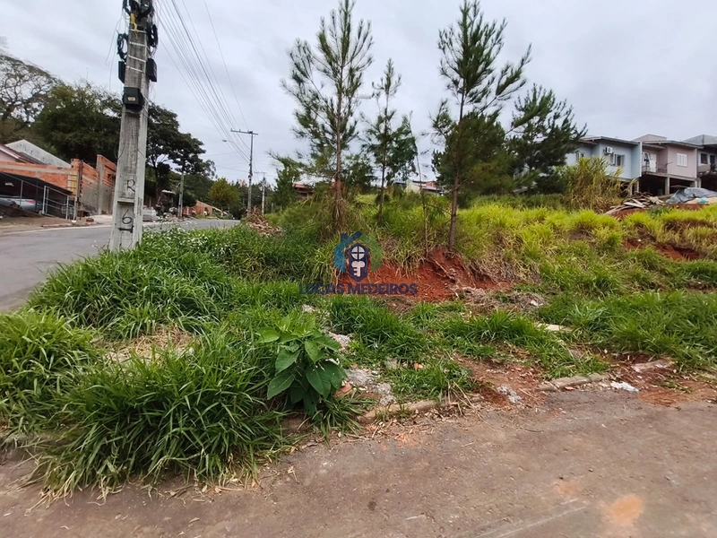 Terrenos à venda em Novo Hamburgo: 4ª foto da galeria de imagens do imóvel