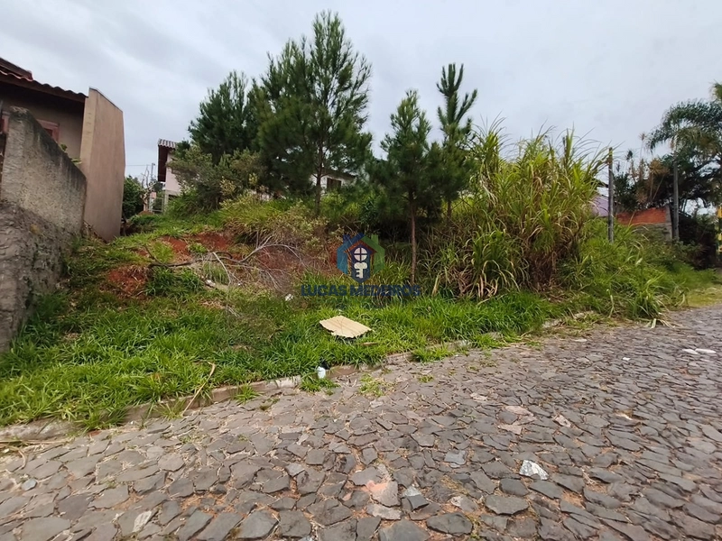 Terrenos à venda em Novo Hamburgo: 7ª foto da galeria de imagens do imóvel