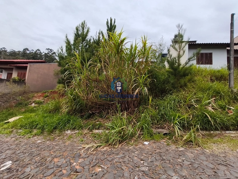Terrenos à venda em Novo Hamburgo: 9ª foto da galeria de imagens do imóvel