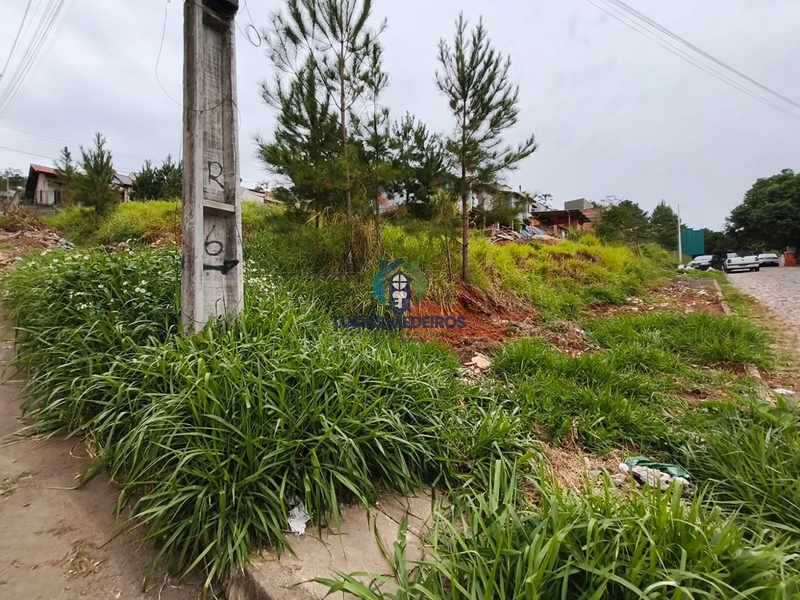 Terrenos à venda em Novo Hamburgo: 3ª foto da galeria de imagens do imóvel