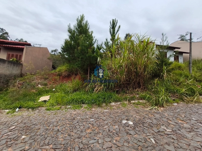 Terrenos à venda em Novo Hamburgo: 12ª foto da galeria de imagens do imóvel